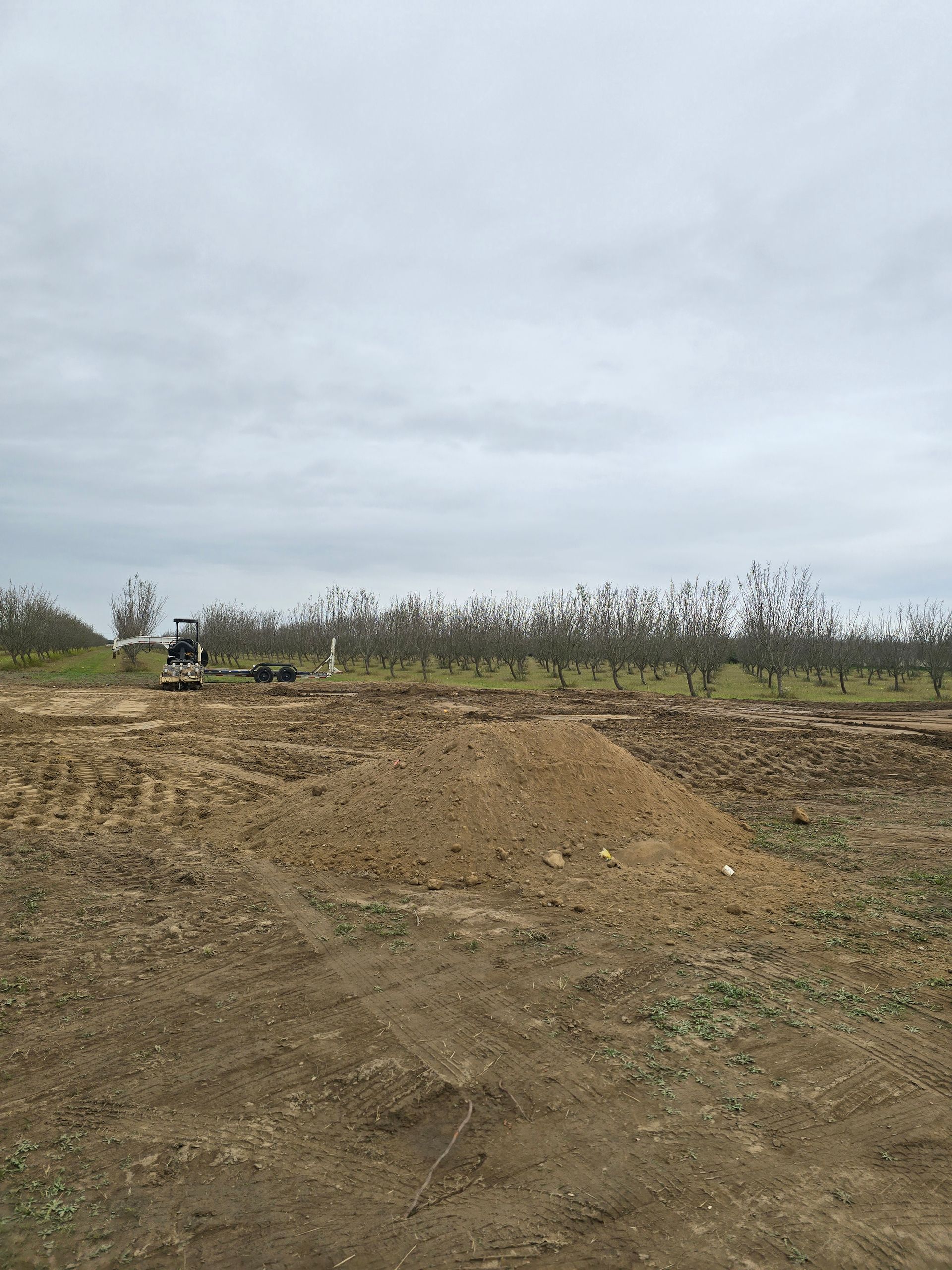 Bare dirt field with a small excavator and orchard trees under a cloudy sky