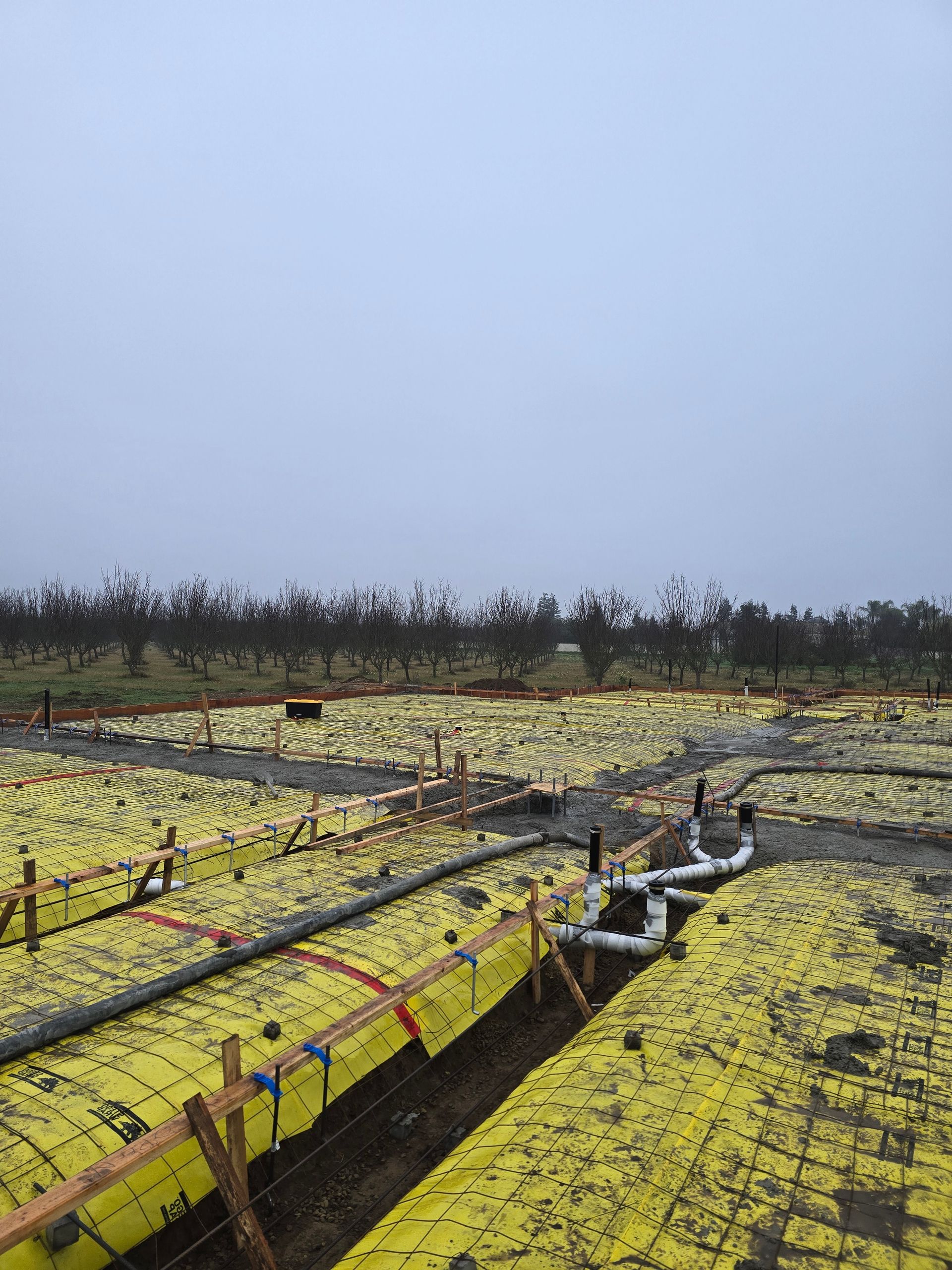 Yellow tarped solar panels in a field under an overcast sky, with bare trees in the distance
