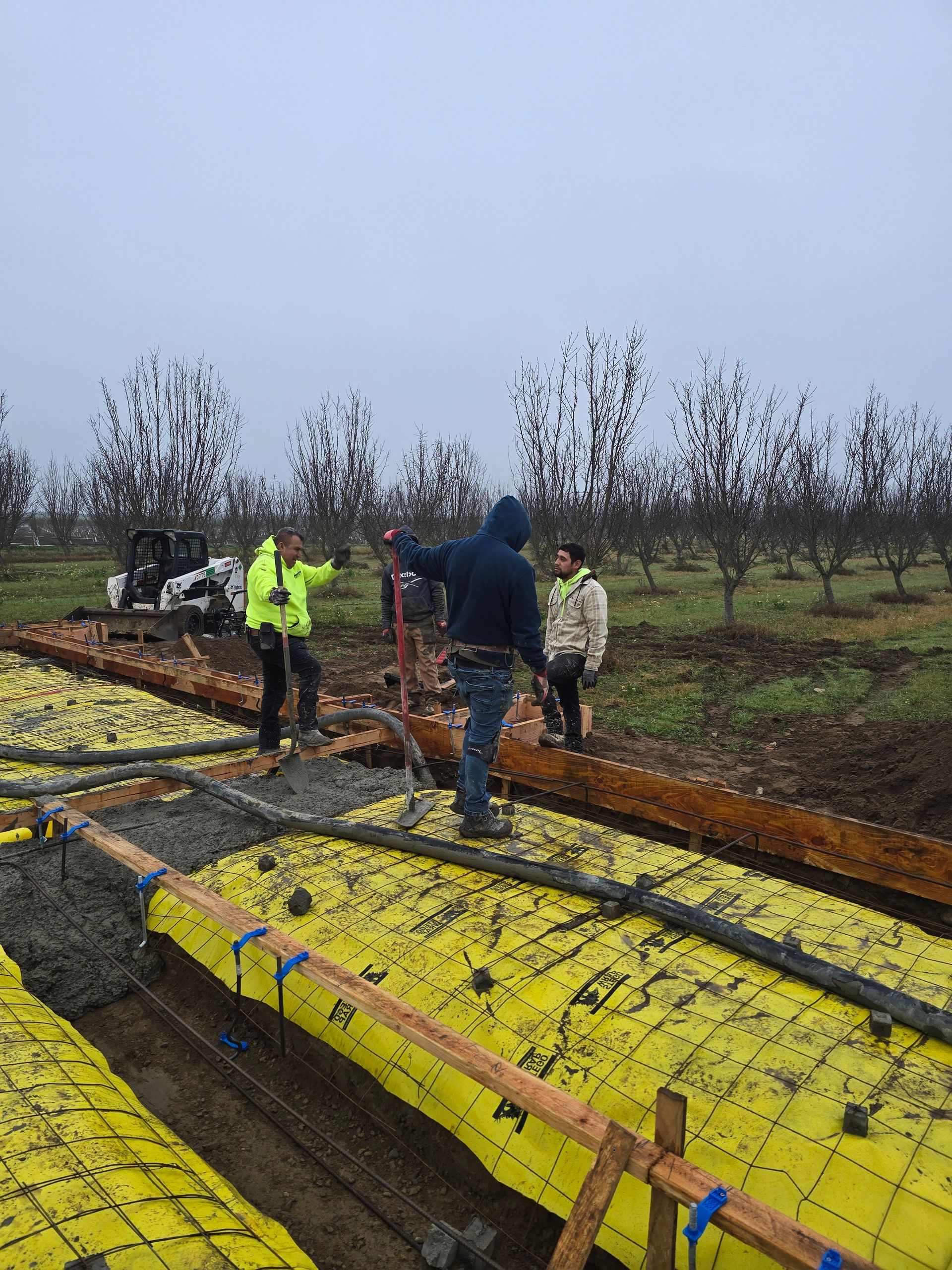 Workers in rain gear near yellow-covered rows in a muddy orchard on an overcast day