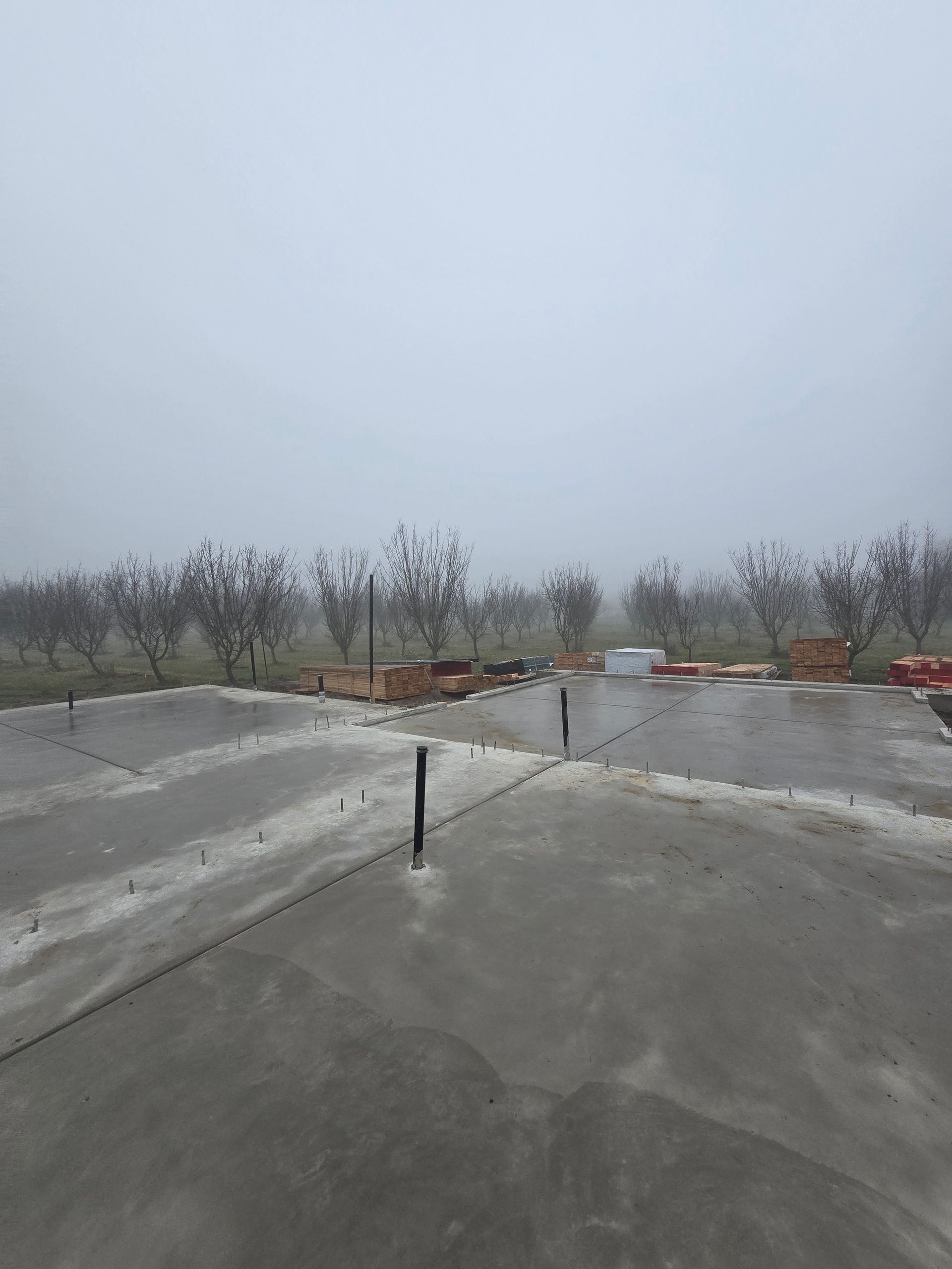 Empty gray rooftop with a small vertical pipe and bare trees under an overcast sky.