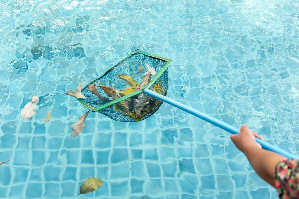 A Person is Cleaning a Swimming Pool With a Net — Lismore Poolscene in Alstonville, NSW