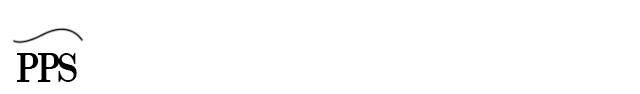 Passionate, Pragmatic and Solutions Focussed Logo