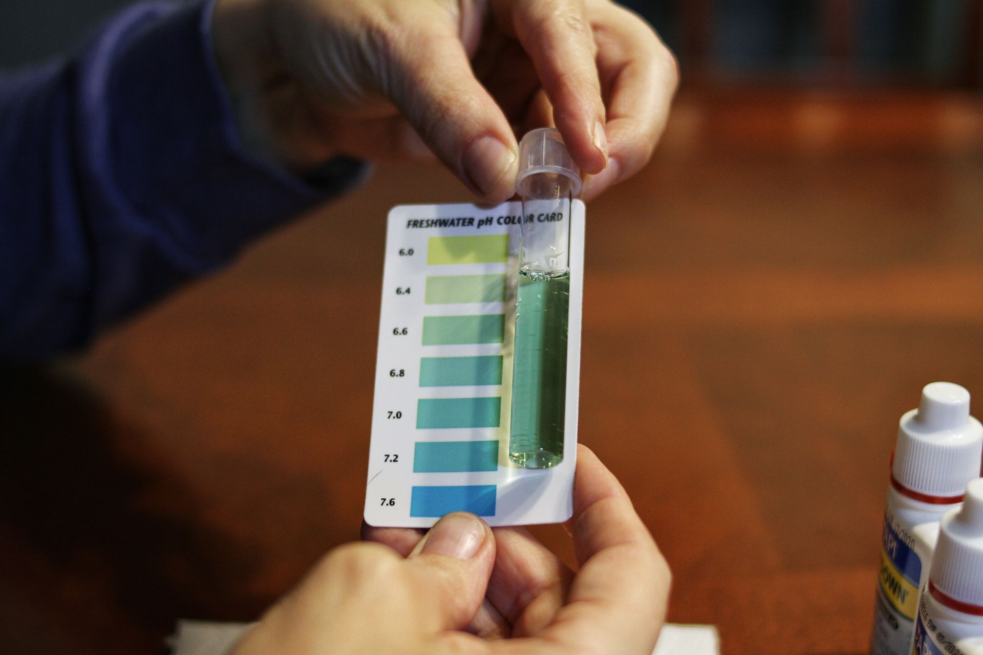 Hands holding a pH test strip against a color chart, comparing water sample, resulting in a dark green match.