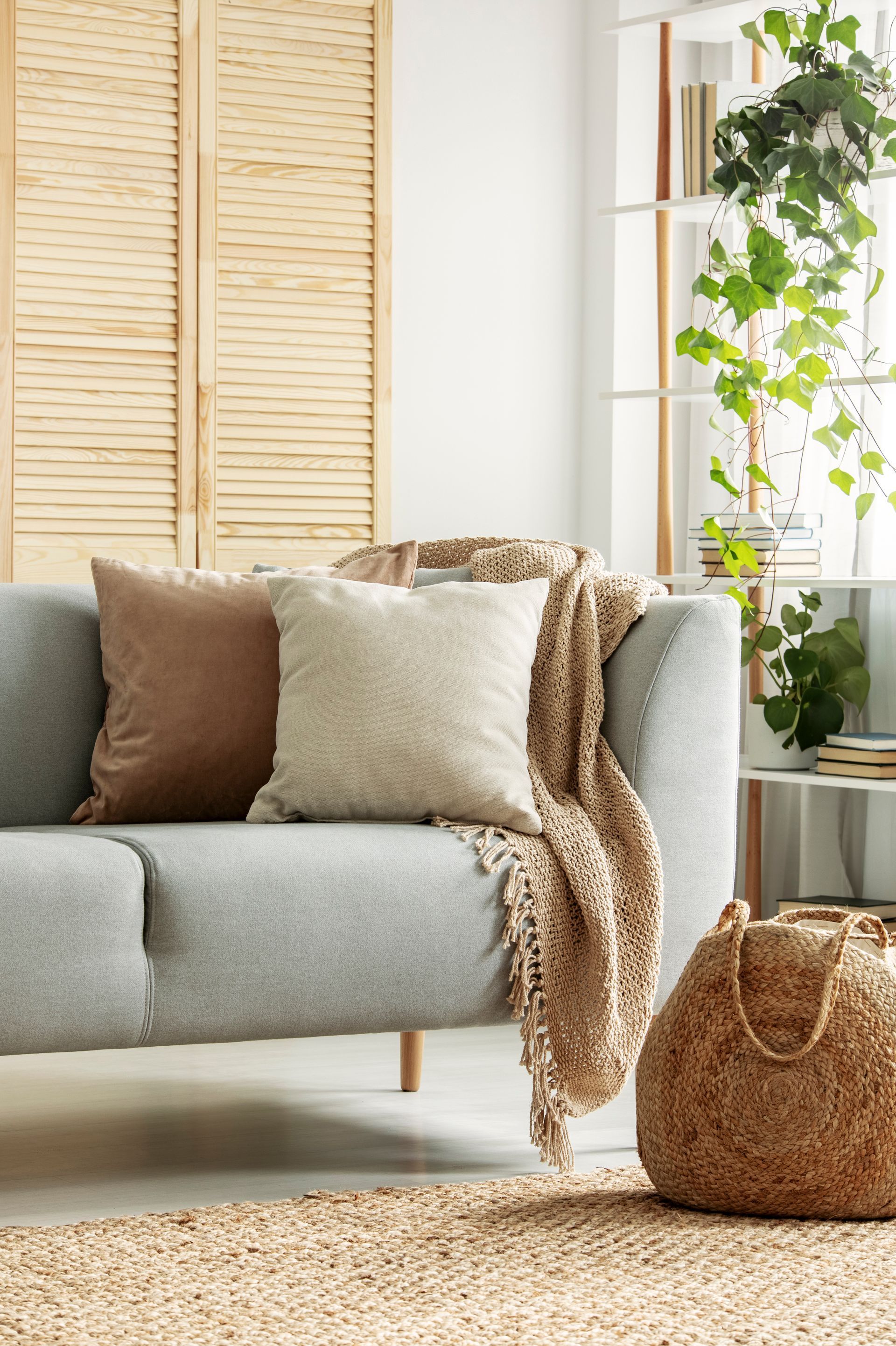 Cozy living room corner with a gray sofa, beige pillows, woven throw, plant, and wicker basket by a window