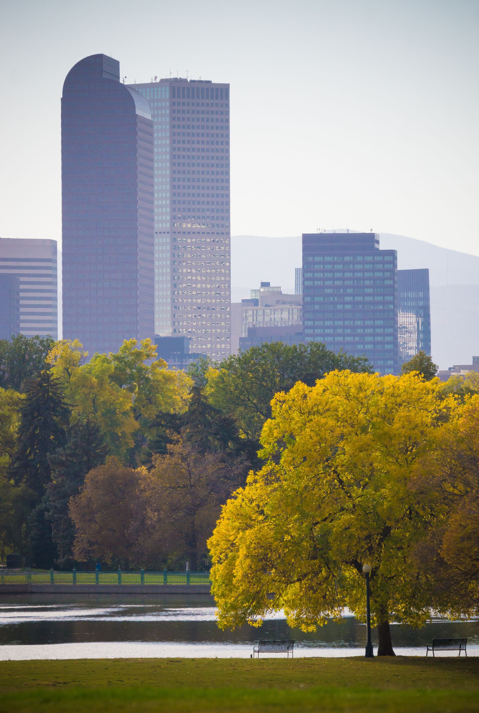 City skyline beyond autumn trees and a bright yellow tree beside a calm river