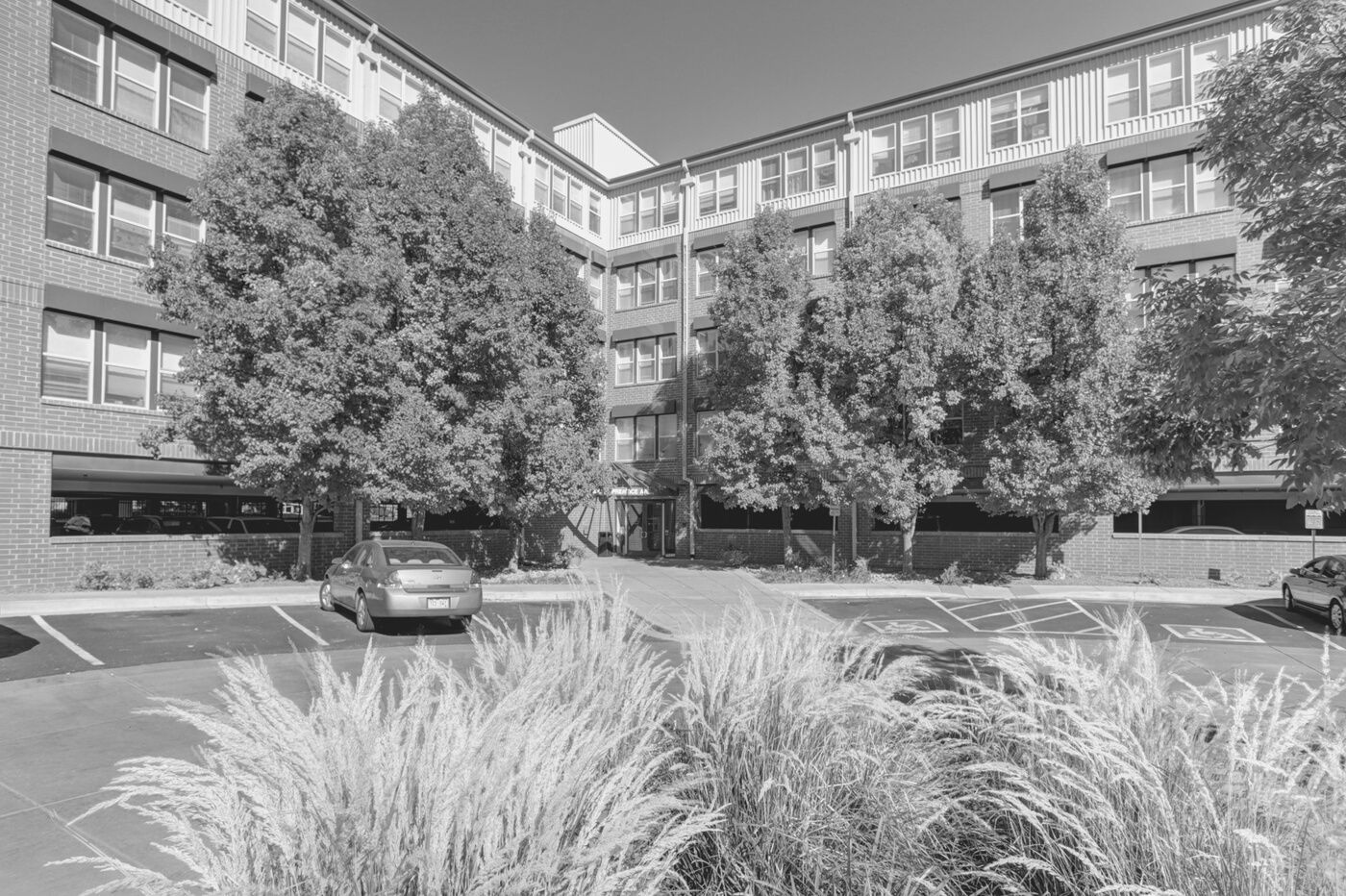 Courtyard between brick apartment buildings with trees, parked cars, and tall grasses in front.