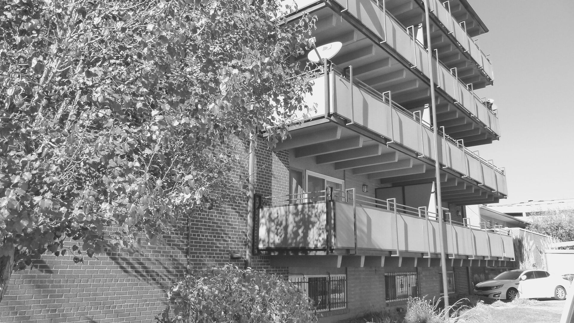 Apartment building with balconies beside a leafy tree, with parked cars and a sidewalk in front.