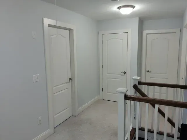 door with Paint