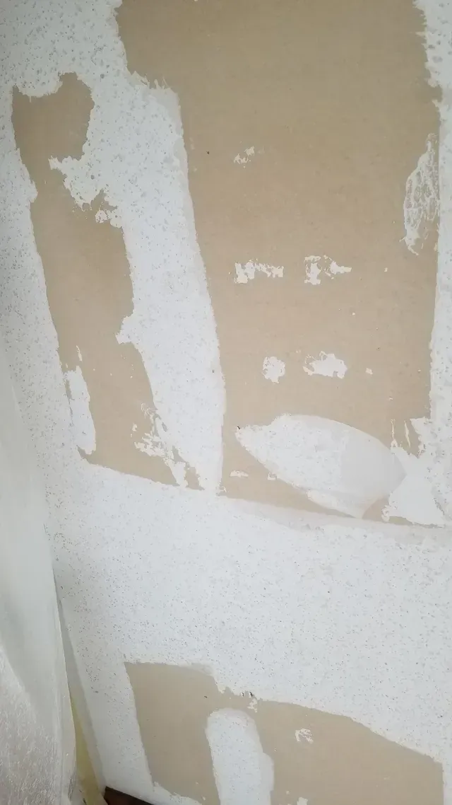 Wall with paint
