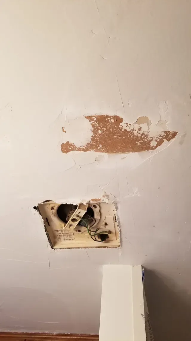 Wall with paint
