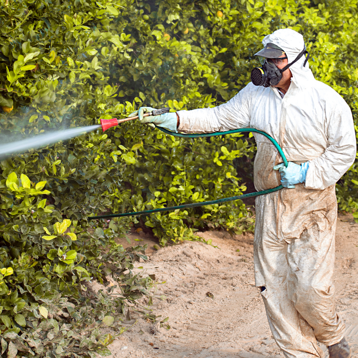 fumigacion de jardines