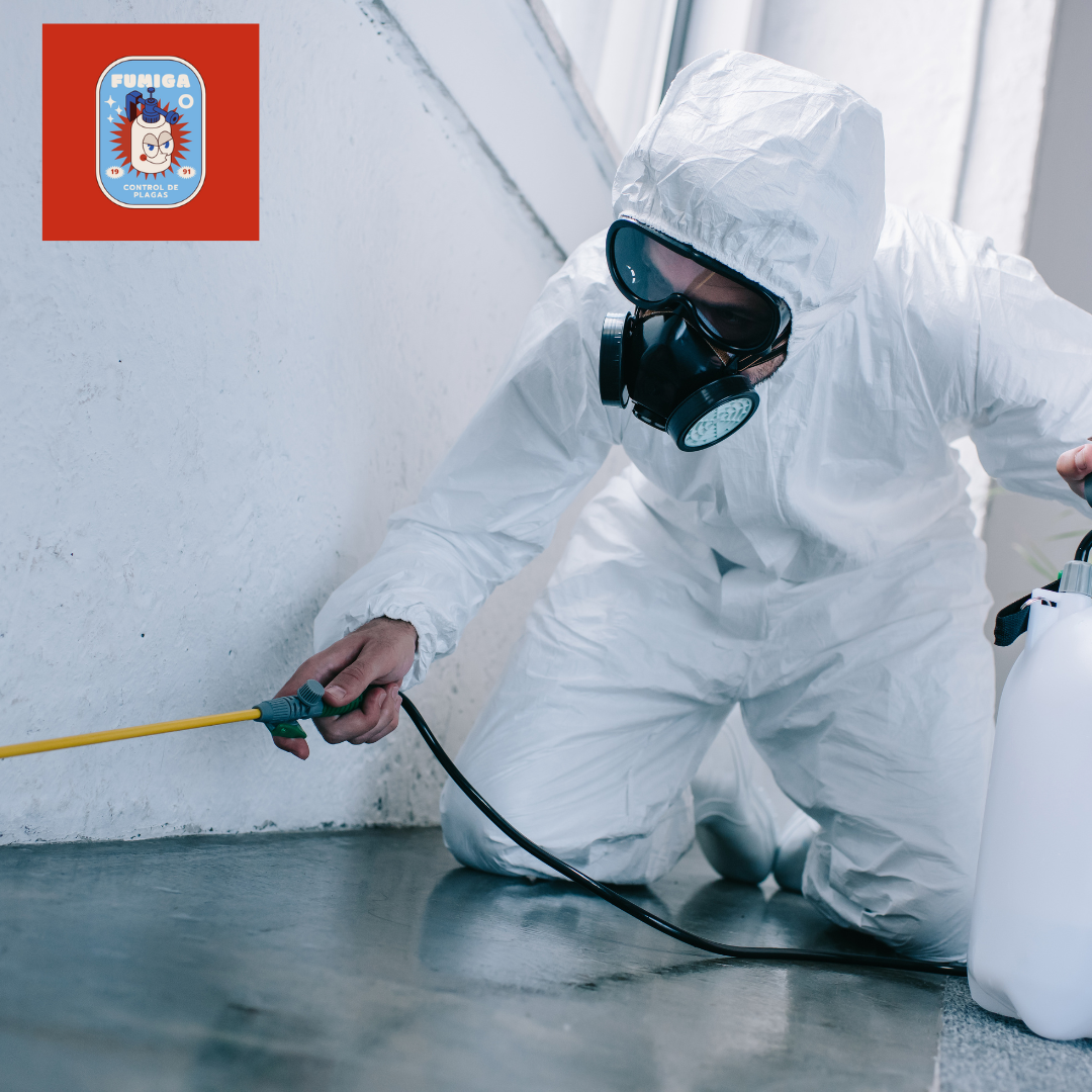 ¿Por que es importante contar con un certificado de fumigación en un establecimiento comercial?