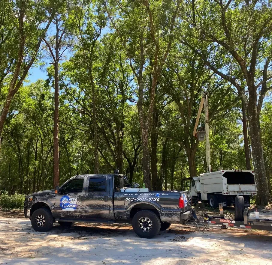 A work truck and a trailer with a lift in a wooded area, likely for tree service.