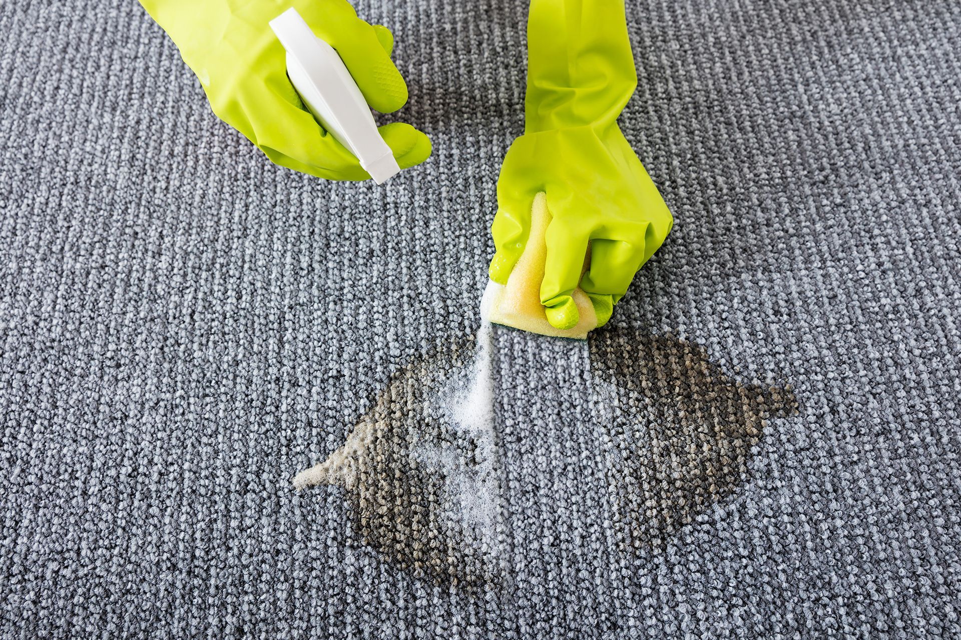 Person in green gloves cleaning a stain on a gray carpet with a spray bottle and sponge.