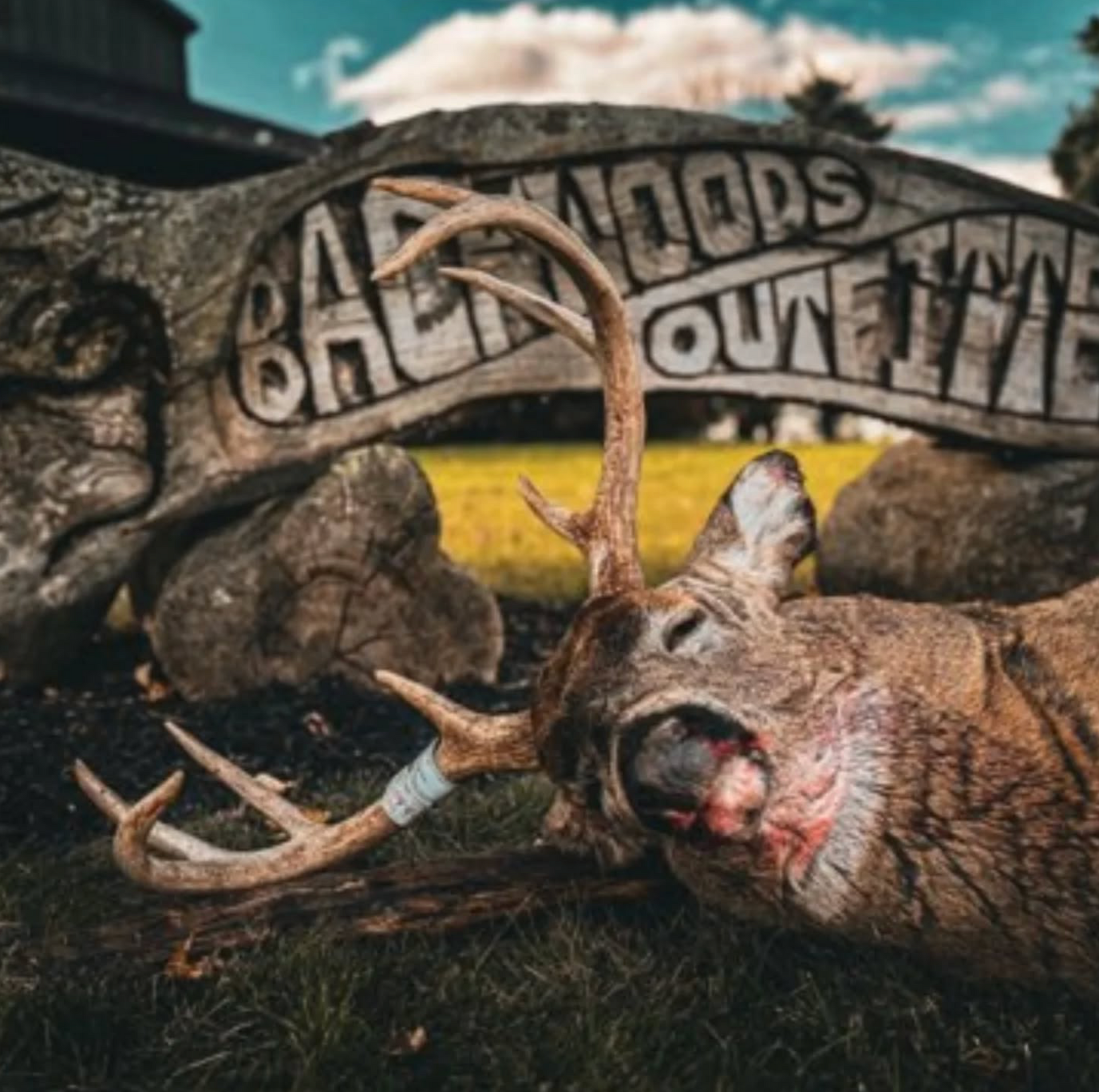 IL deer guide