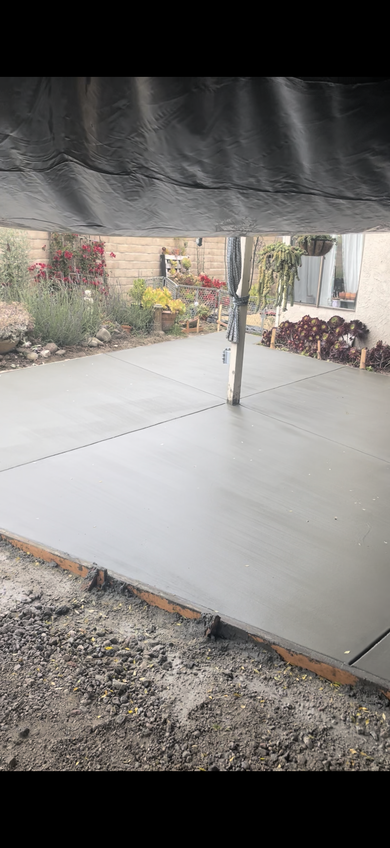 Freshly poured concrete patio with wood border, under a concrete structure. Backyard setting with plants.