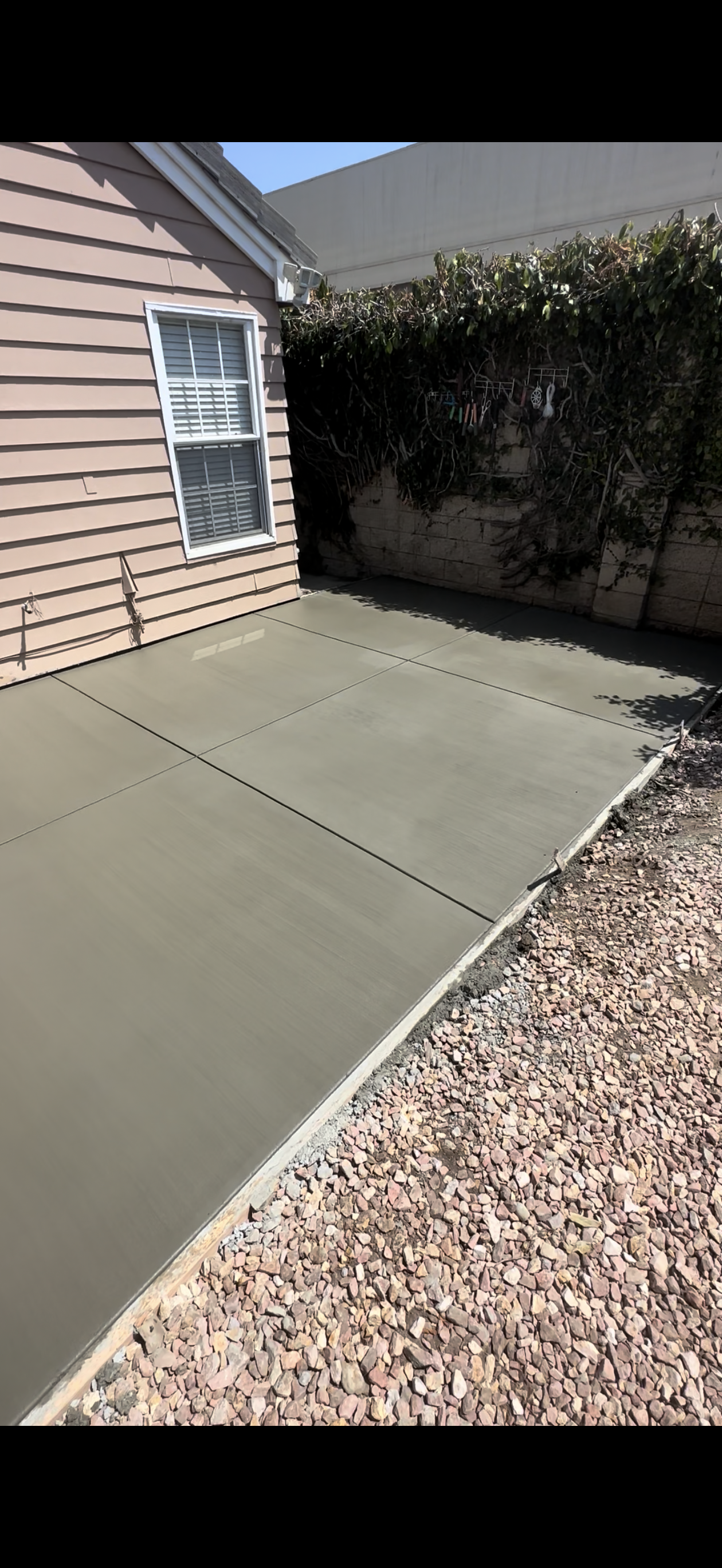 Freshly poured concrete patio next to a house with gravel border and a hedge.