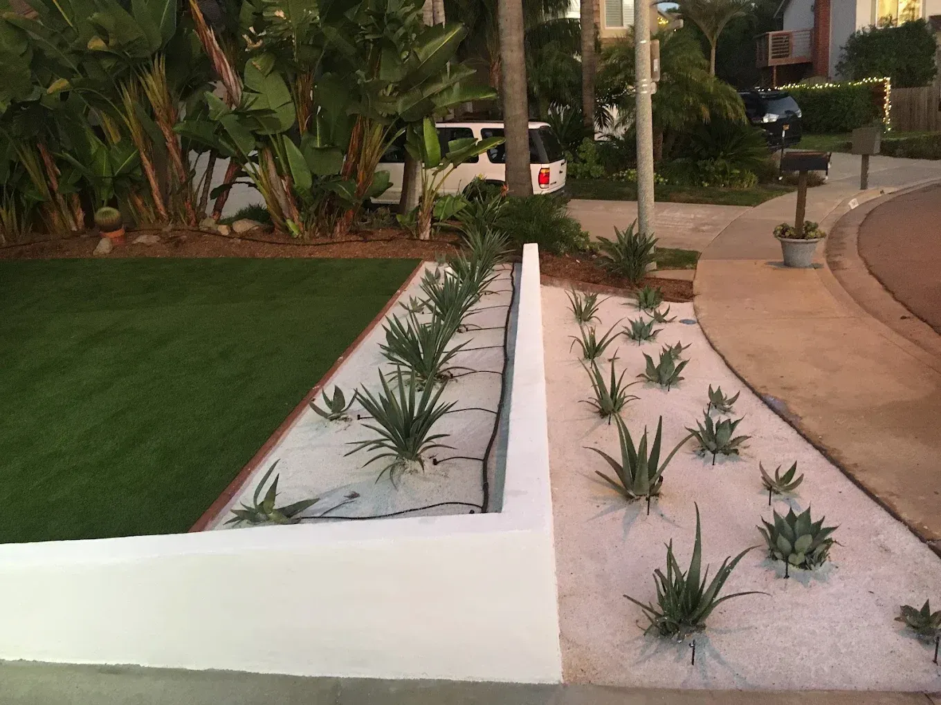 Landscaped garden with white planter walls, small succulents, grass, and a curved walkway