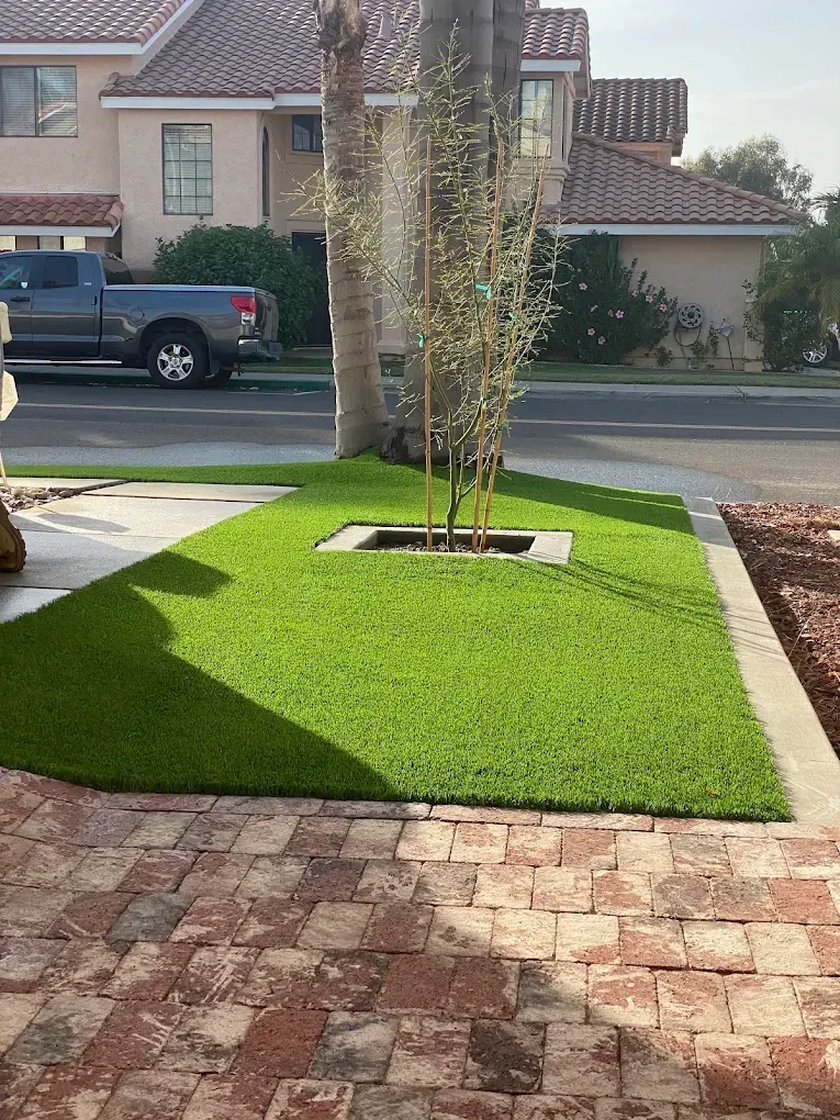 Front yard with a young tree, green lawn, brick walkway, and suburban house in the background