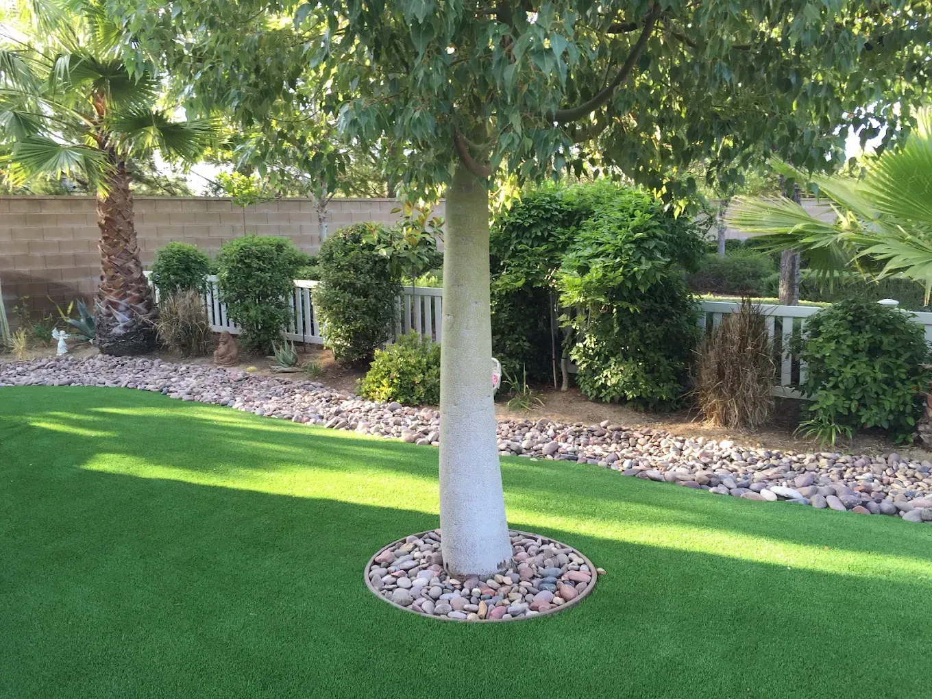 Landscaped backyard with green lawn, palm trees, and shrubs along a stone border.