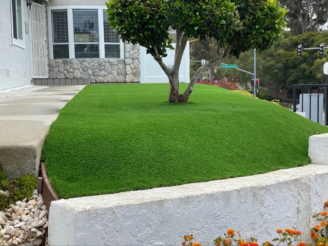 Front yard with bright green lawn, tree, and white retaining wall beside a house and stone steps