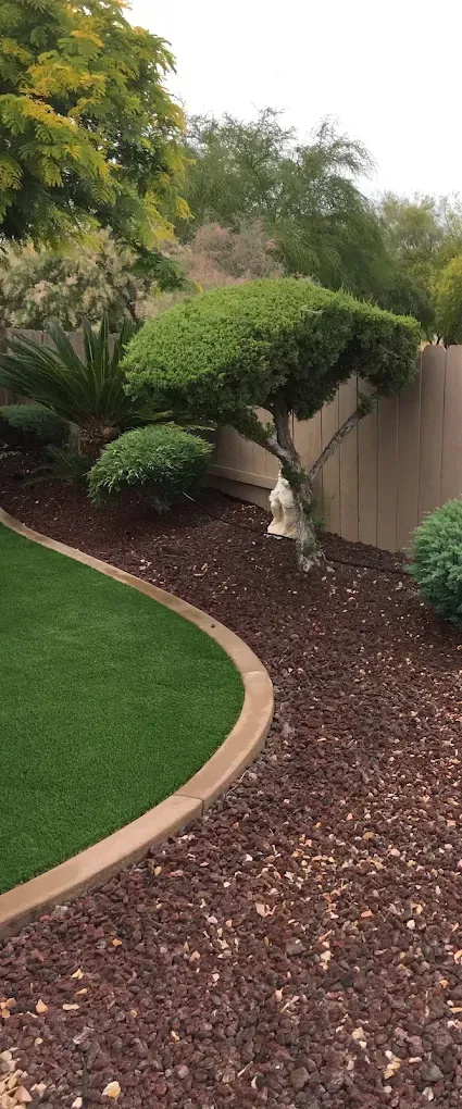Curved garden bed with trimmed shrubs, mulch, and tan fence beside a green lawn