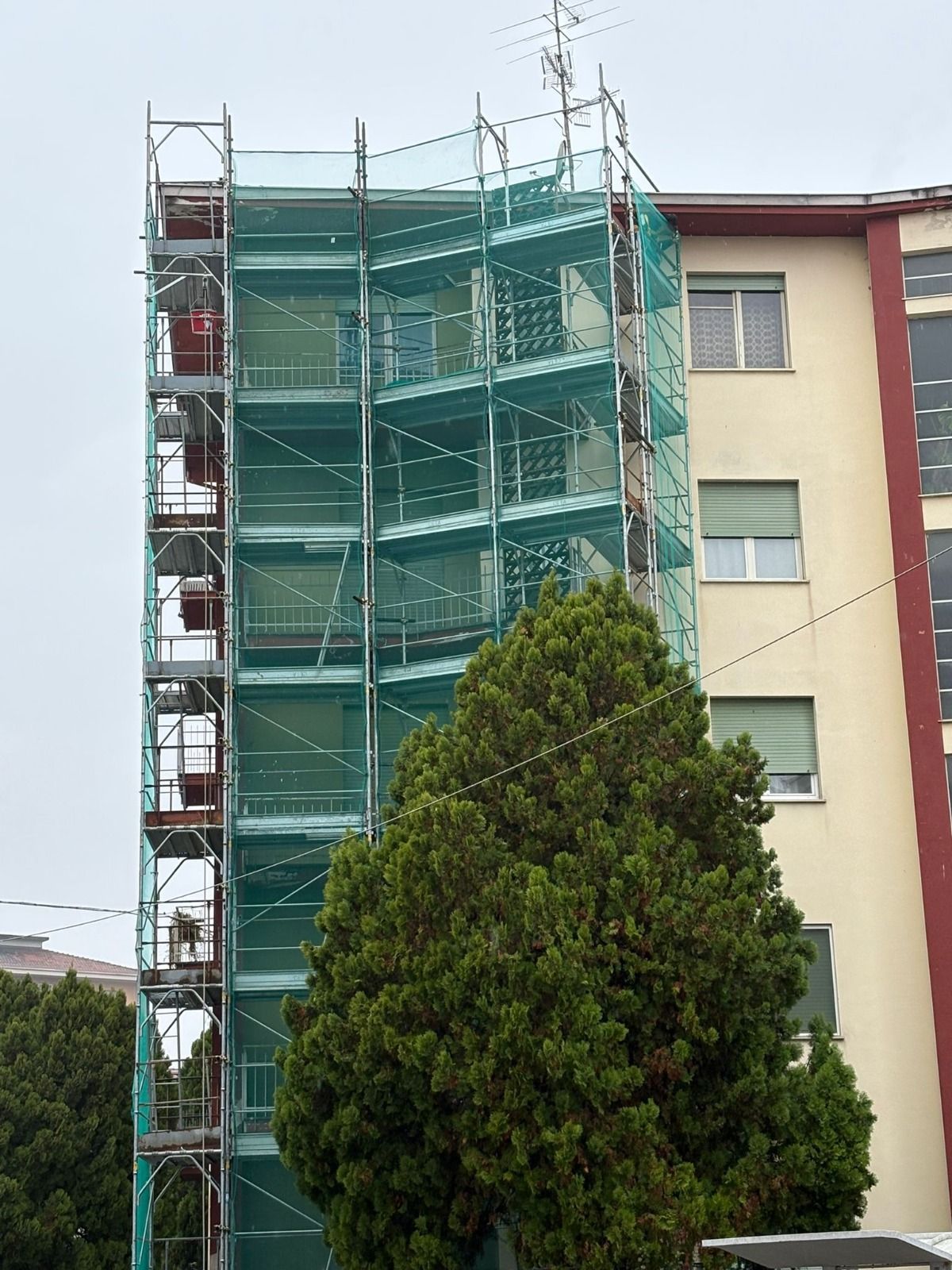Impalcature all'esterno dell'edificio, coperte da una rete verde, con un grande albero sempreverde di fronte.