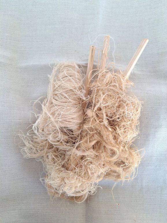 Fibra di canapa