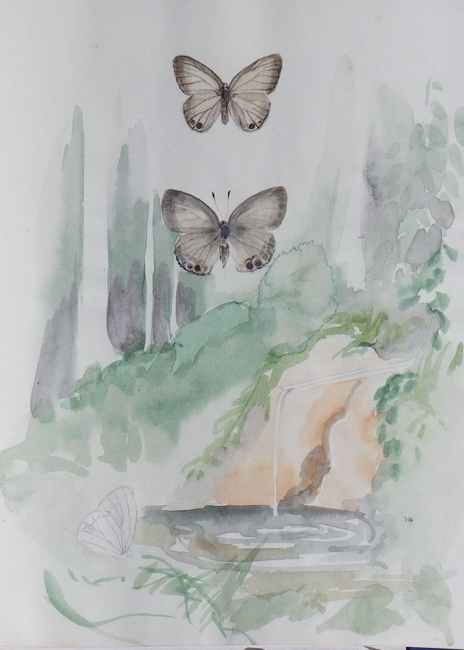 My Butterfly