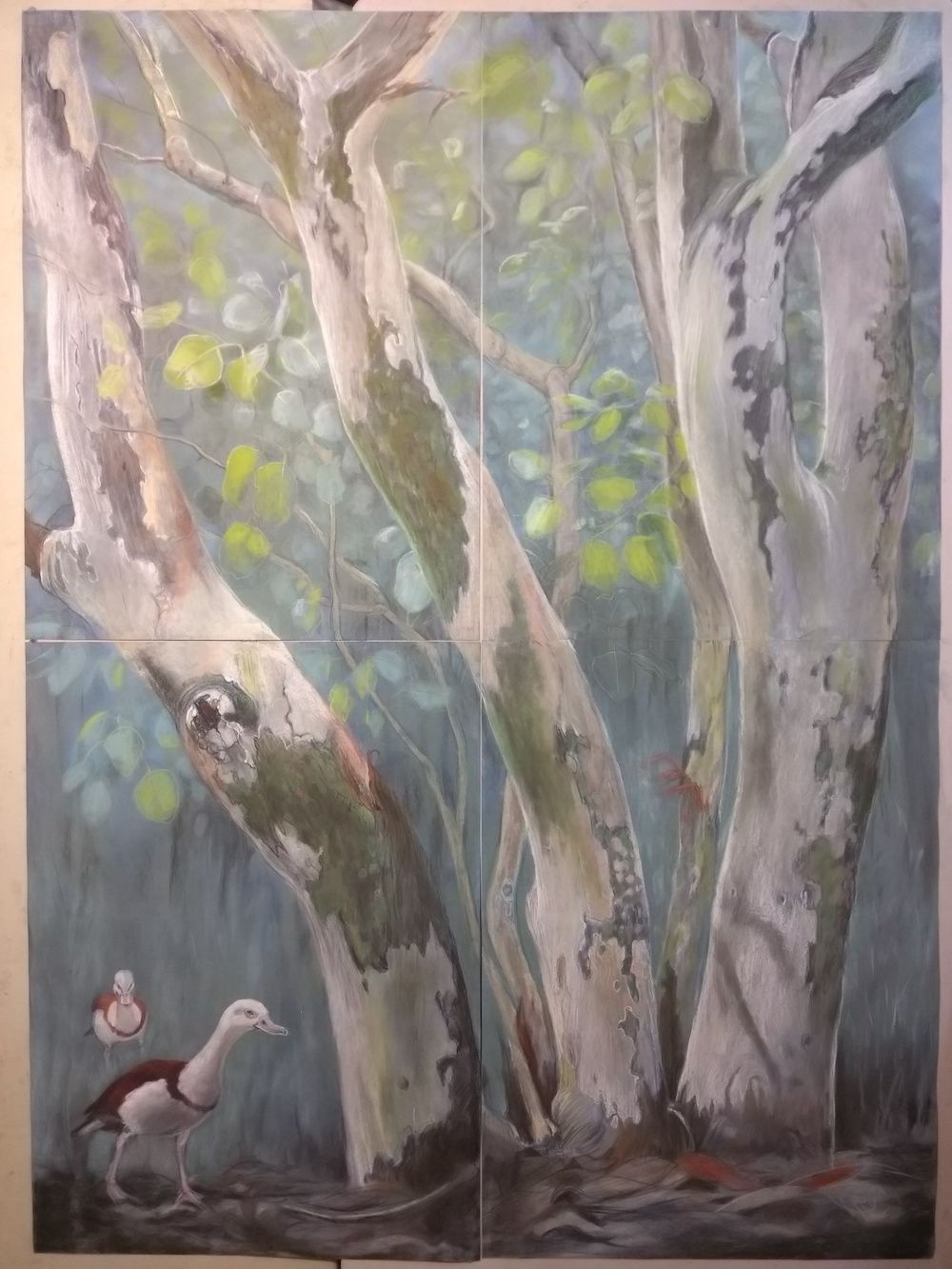 Large Drawings