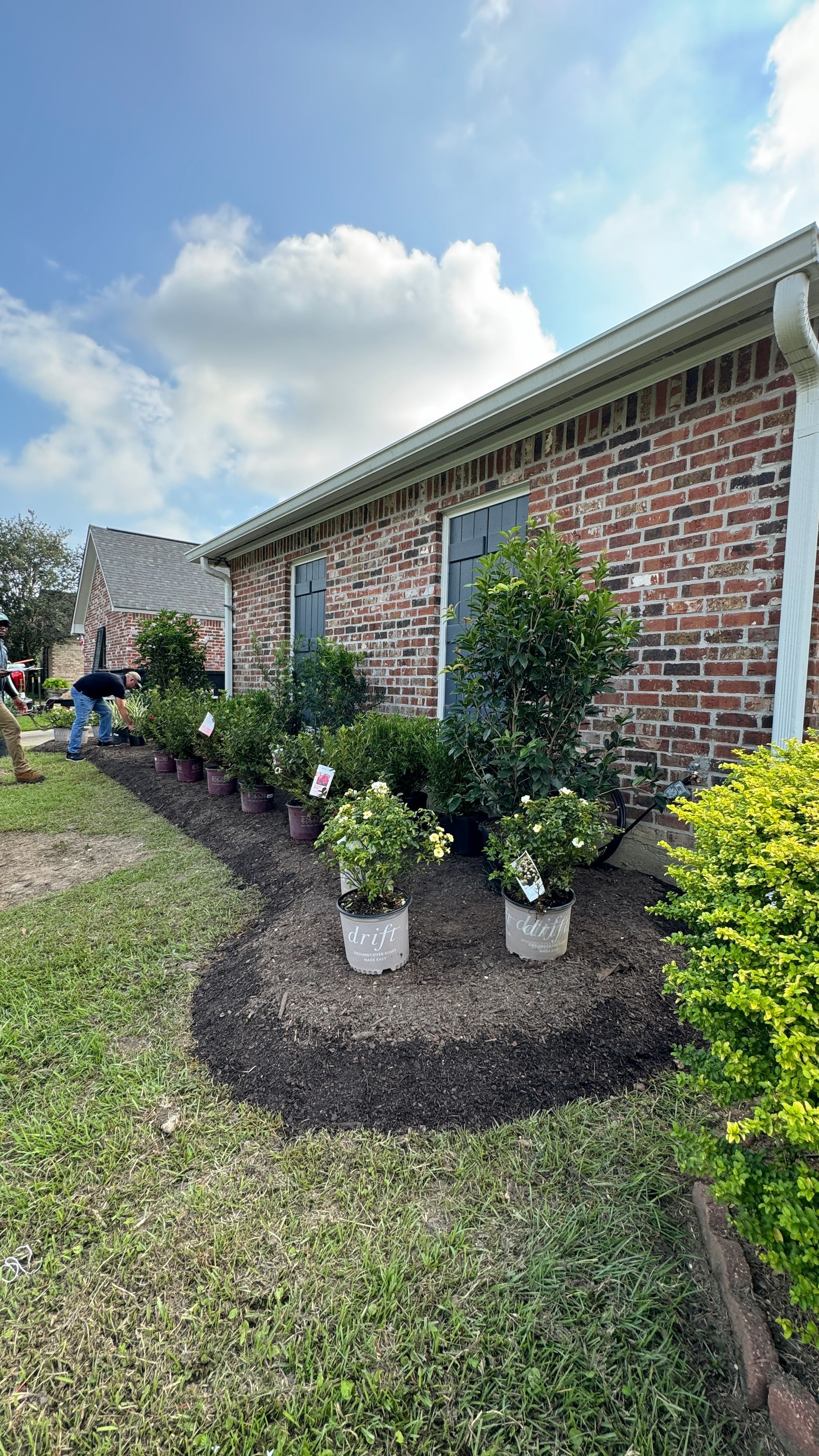 Baton Rouge Seasonal Color Flower Planting