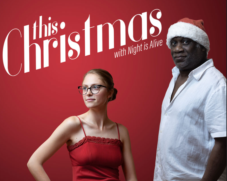 A poster for this christmas with night is alive