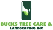 Tree Service in Levittown, PA | Bucks Tree Care & Landscaping Inc. Tree Service in Levittown, PA | Bucks Tree Care & Landscaping Inc.