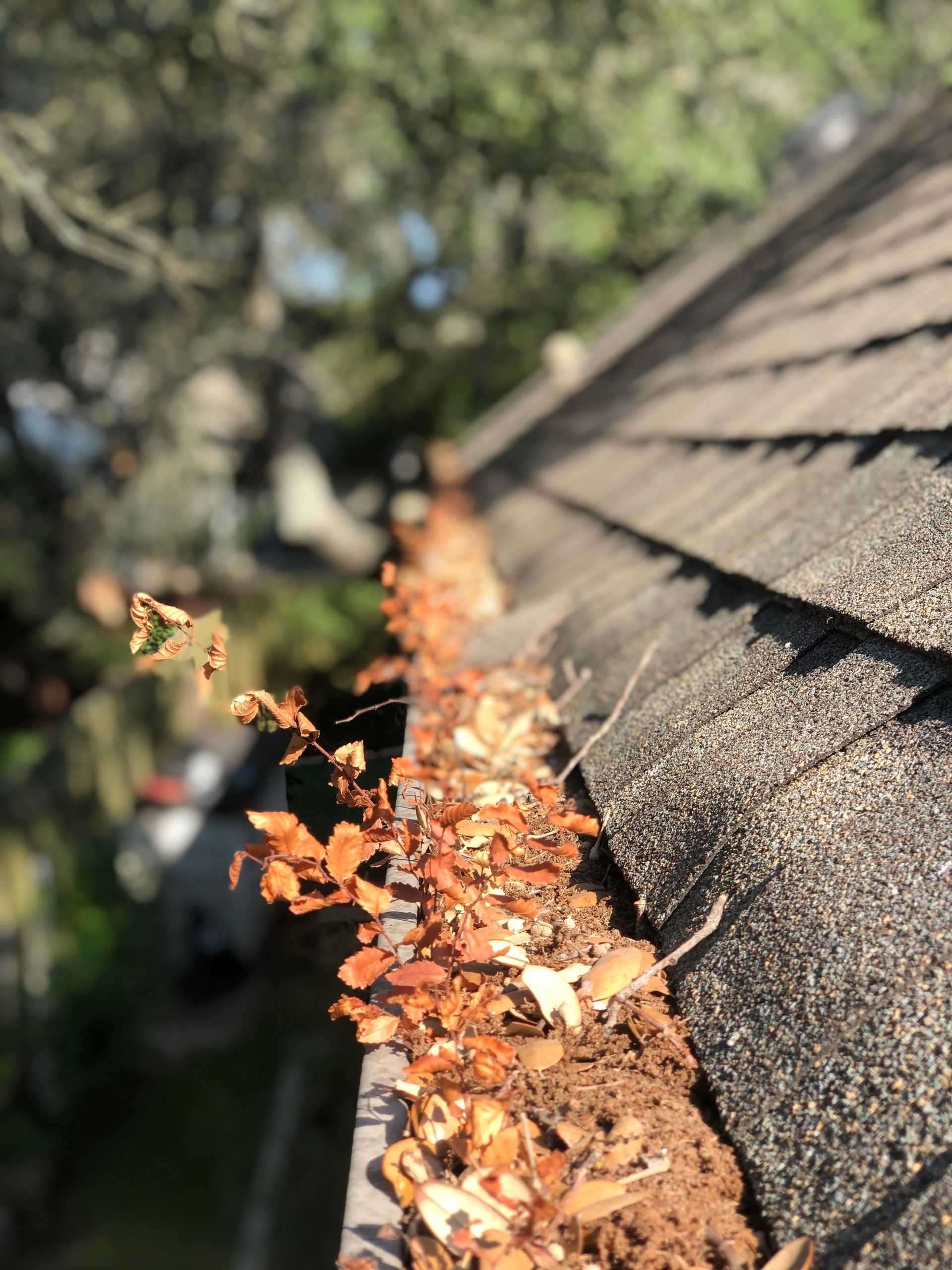 Gutter Cleaning Leander
