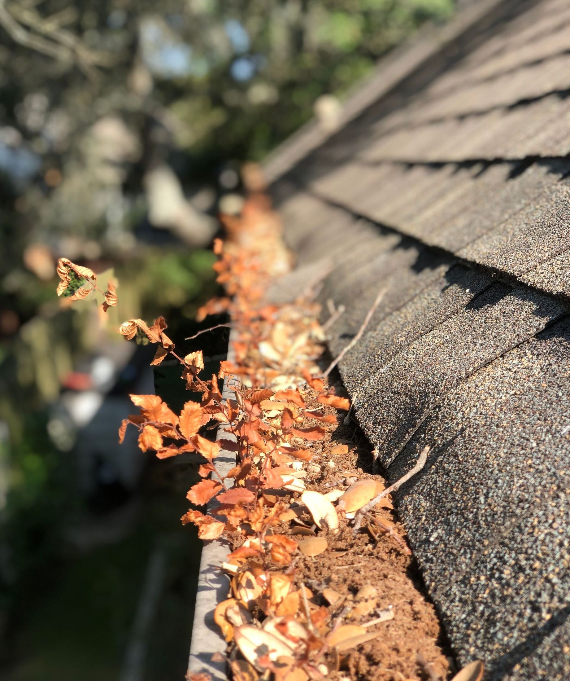 Gutter Cleaning Austin Texas