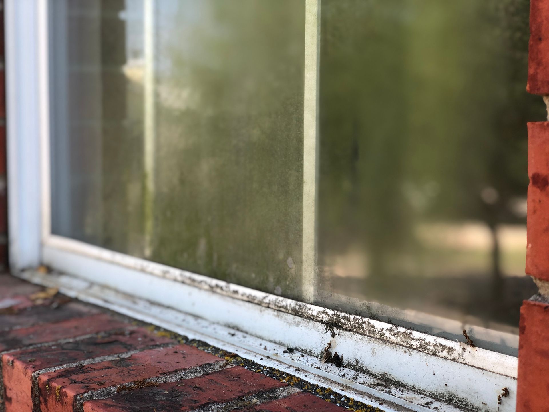 Window Cleaning Georgetown