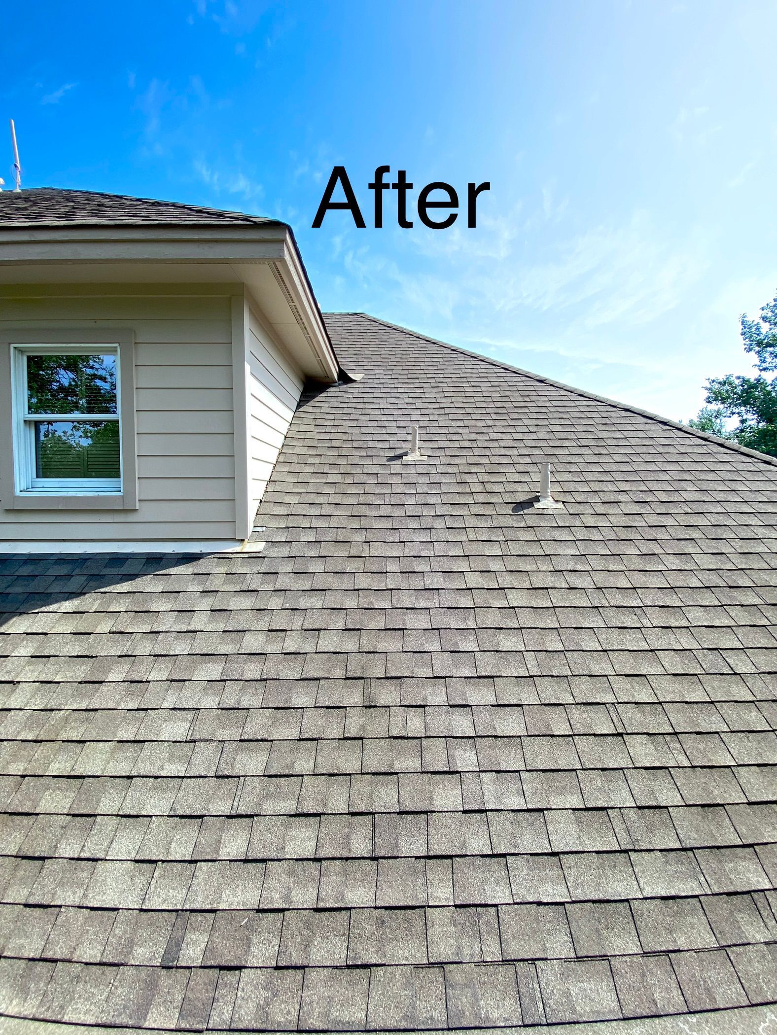 Roof Wash in Georgetown and Liberty Hill