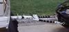 A black car is parked on the side of the road next to a white van.