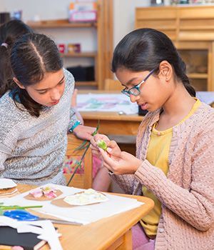 Two adolescent girls analyzing the petals of a flower in a Montessori classroom