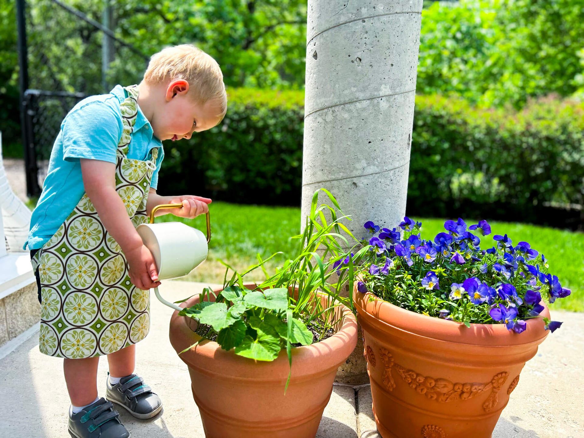 A young child outside on a sunny day using a watering can to water potted herbs and flowers