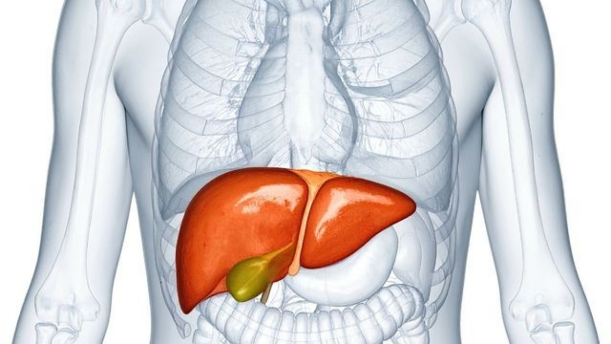 Epatologia Chirurgica e Chirurgia Bilio-Pancreatica a Piacenza