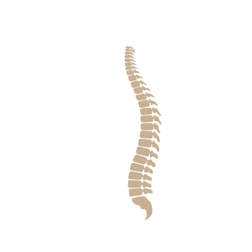 Chirurgia Vertebrale