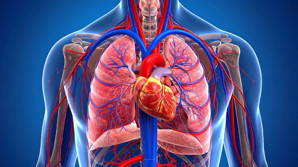 Spirometria a Piacenza: l’esame fondamentale per la salute dei polmoni | Poliambulatorio IGEA Piacenza Area Respiratoria a Piacenza: prevenzione, spirometria e diagnosi delle patologie polmonari | Poliambulatorio IGEA Piacenza