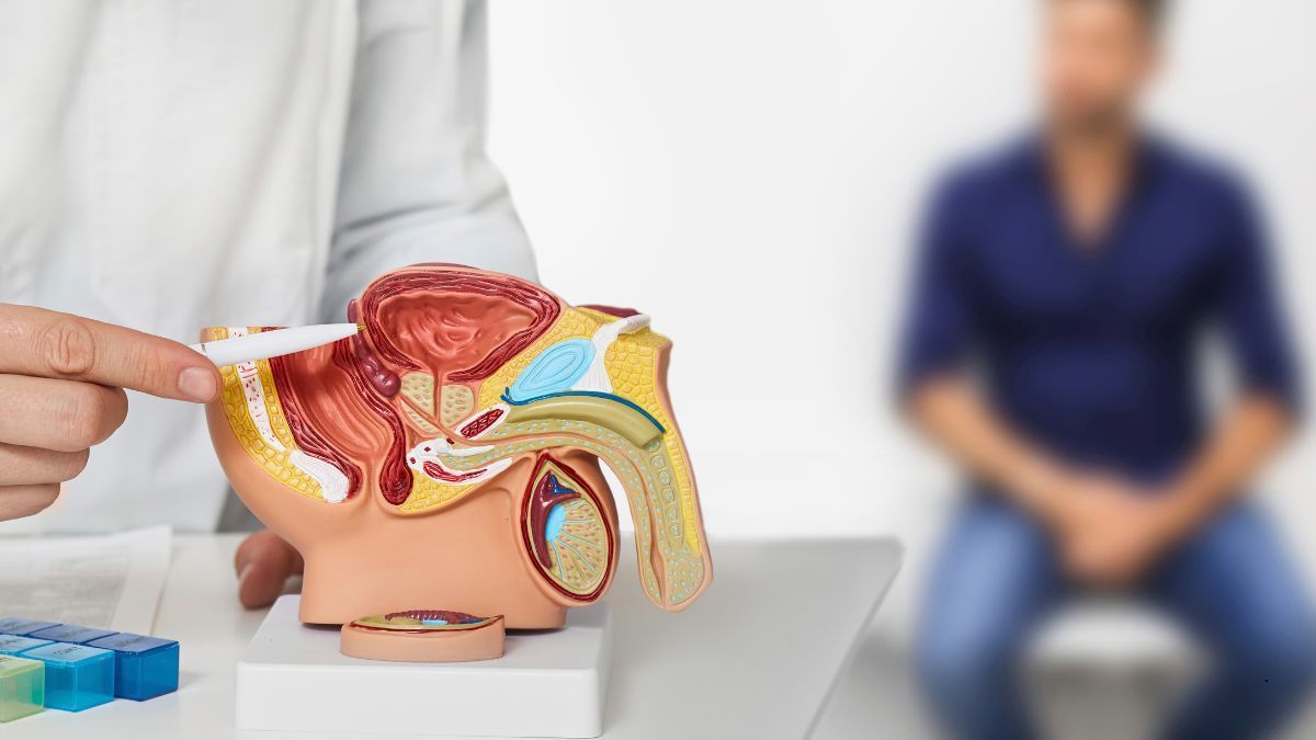 La Visita Urologica | Poliambulatorio IGEA Piacenza L’ipertrofia prostatica benigna (IPB) | Poliambulatorio IGEA Piacenza