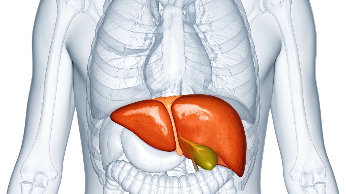 Epatologia Chirurgica e Chirurgia Bilio-Pancreatica a Piacenza Epatologia Chirurgica e Chirurgia Bilio-Pancreatica a Piacenza