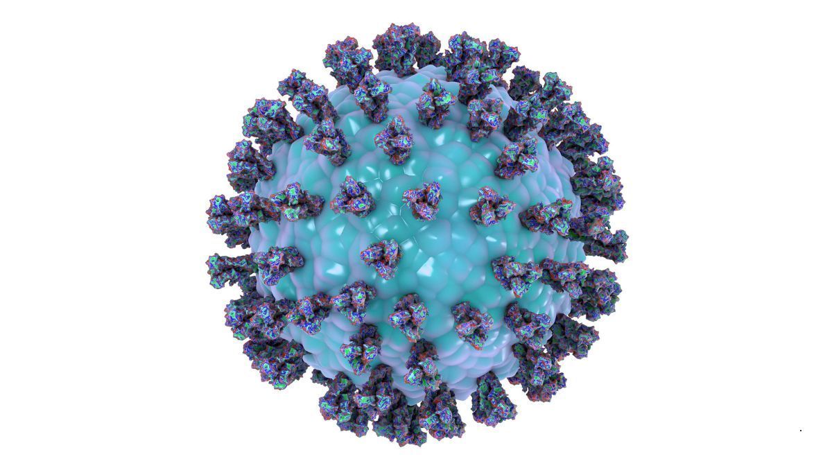 Long COVID Infiammazione e Proteina Spike | Poliambulatorio IGEA Piacenza