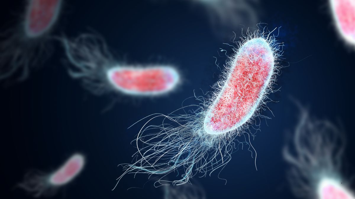 Rivascolarizzazione Arteriosa Periferica e Trattamento degli Aneurismi | Poliambulatorio IGEA Piacenza Infezioni delle Vie Urinarie | Poliambulatorio IGEA Piacenza