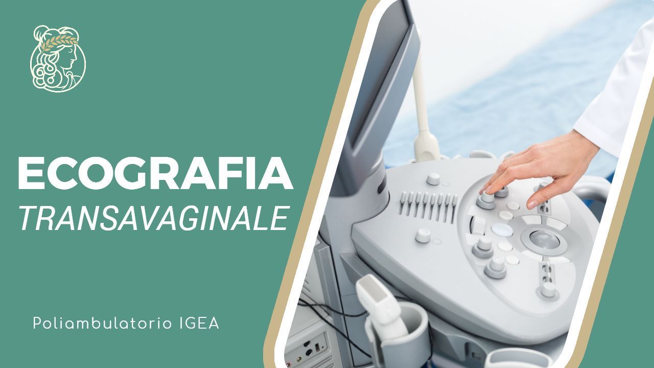Ecografia transvaginale: a che cosa serve e quando viene utilizzata? Ecografia transvaginale: a che cosa serve e quando viene utilizzata?
