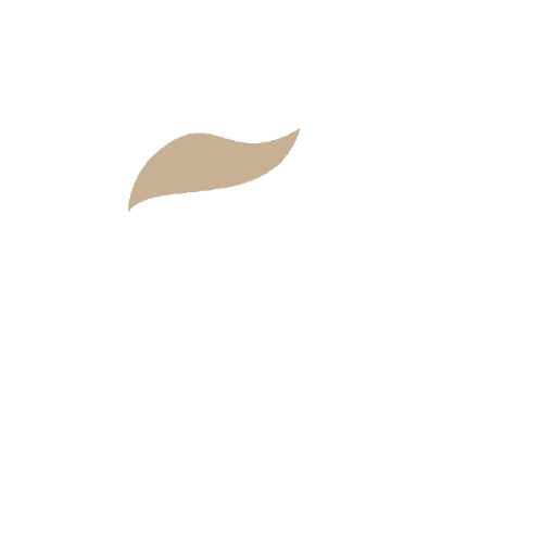 Gastroenterologia