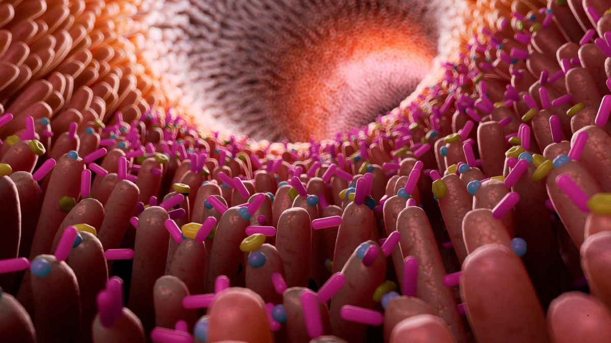 Microbiota: l'importanza della flora batterica intestinale | Poliambulatorio IGEA Piacenza